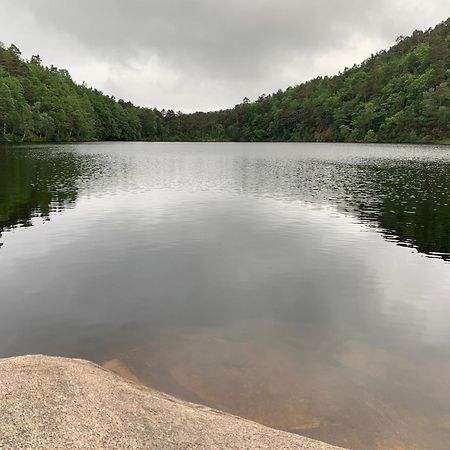 Velkommen Til En Koselig Leilighet Pa Sorlandet! Kristiansand Buitenkant foto